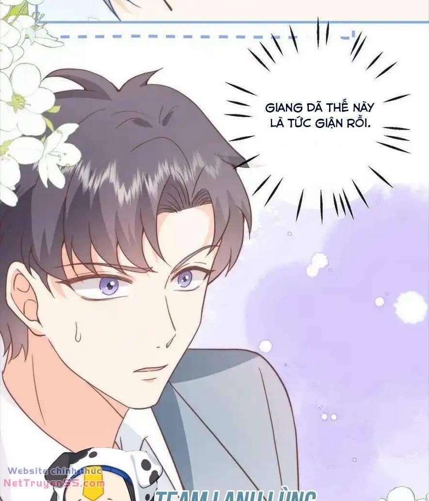 Trọng Sinh Trở Lại Làm Vợ Tổng Tài 80 trang 11