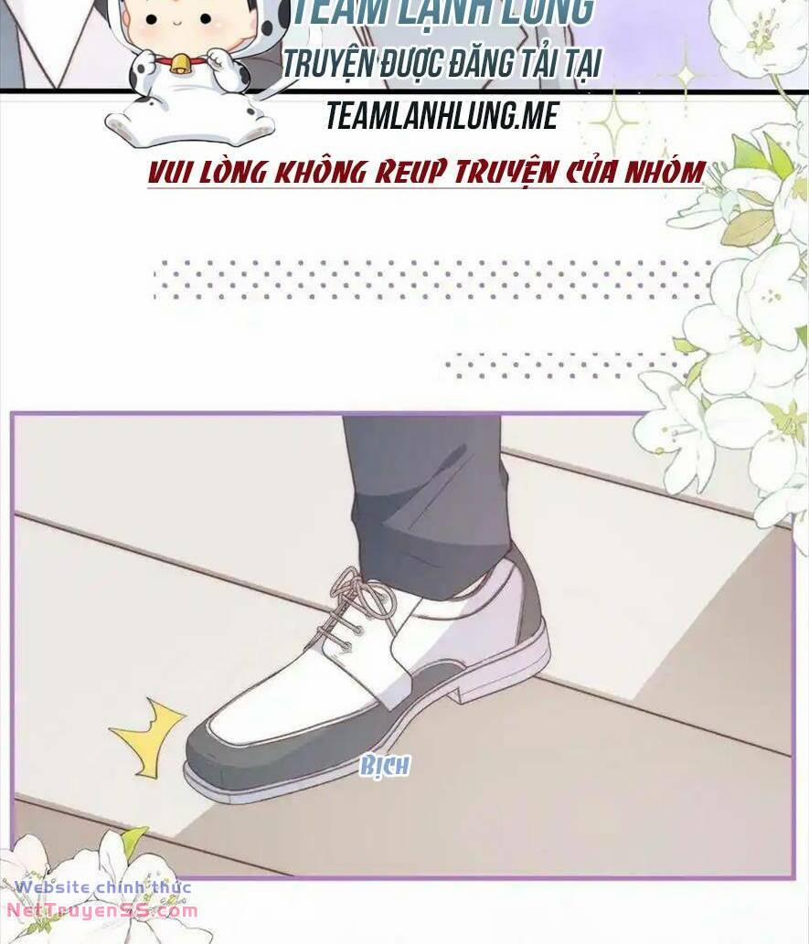 Trọng Sinh Trở Lại Làm Vợ Tổng Tài 80 trang 12