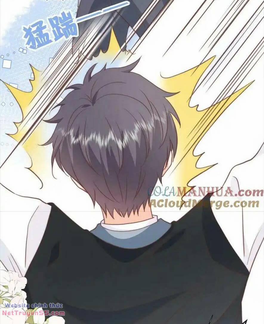 Trọng Sinh Trở Lại Làm Vợ Tổng Tài 80 trang 15