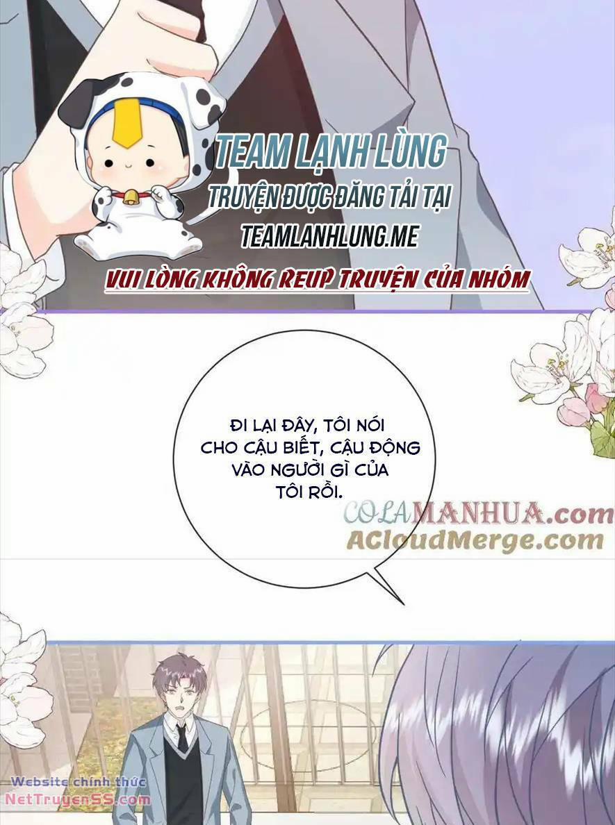 Trọng Sinh Trở Lại Làm Vợ Tổng Tài 80 trang 8