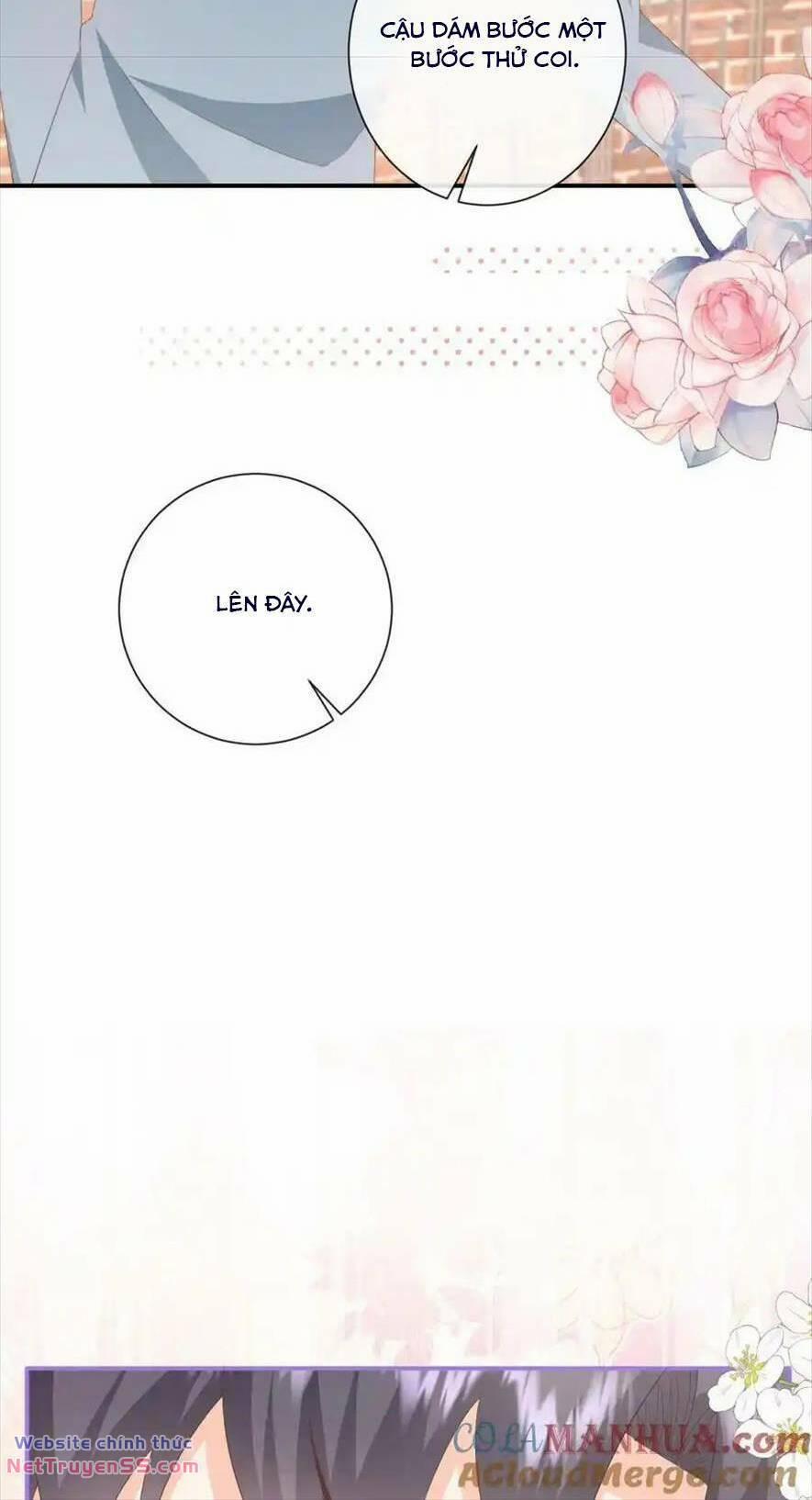 Trọng Sinh Trở Lại Làm Vợ Tổng Tài 81 trang 10