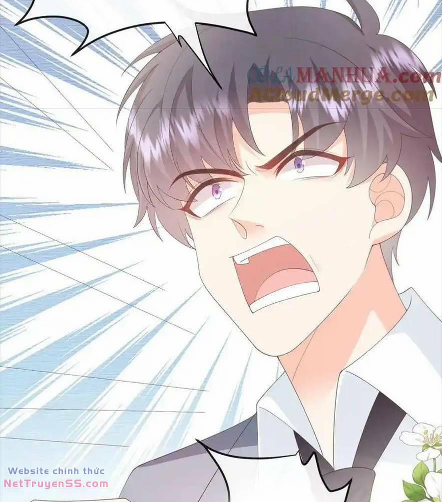 Trọng Sinh Trở Lại Làm Vợ Tổng Tài 81 trang 15