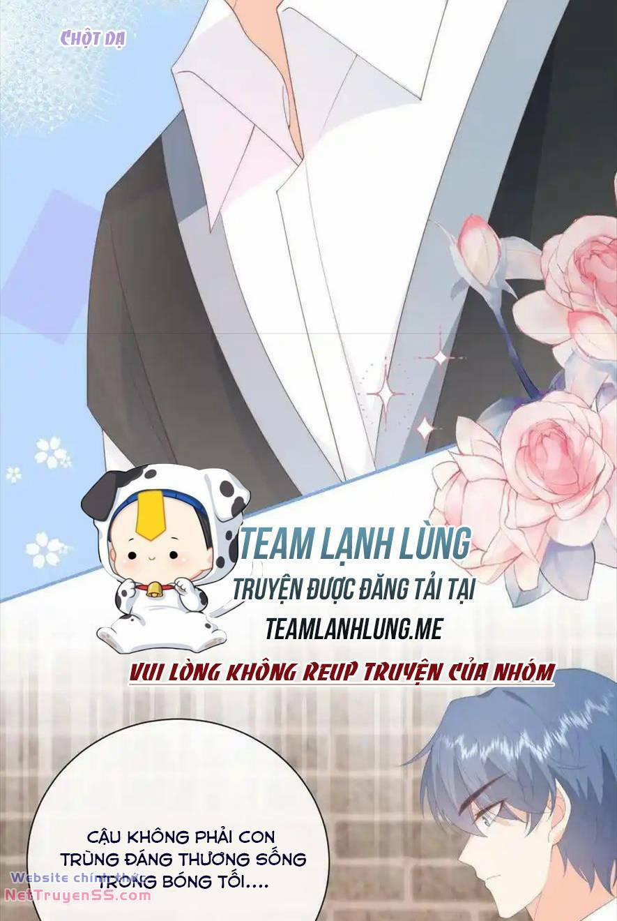 Trọng Sinh Trở Lại Làm Vợ Tổng Tài 81 trang 34