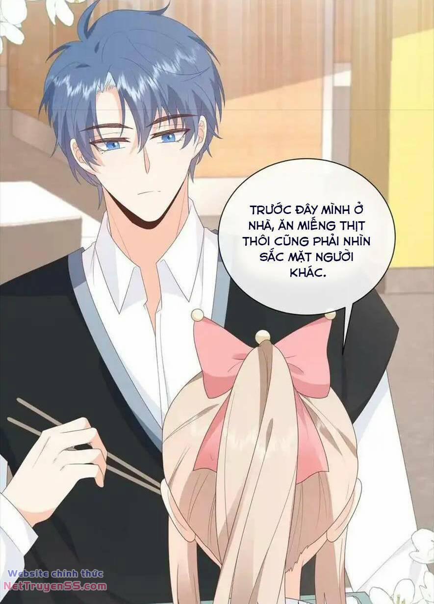 Trọng Sinh Trở Lại Làm Vợ Tổng Tài 83 trang 8