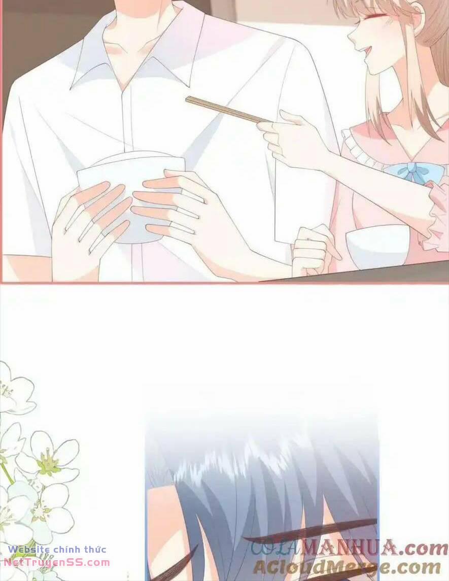 Trọng Sinh Trở Lại Làm Vợ Tổng Tài 88 trang 10