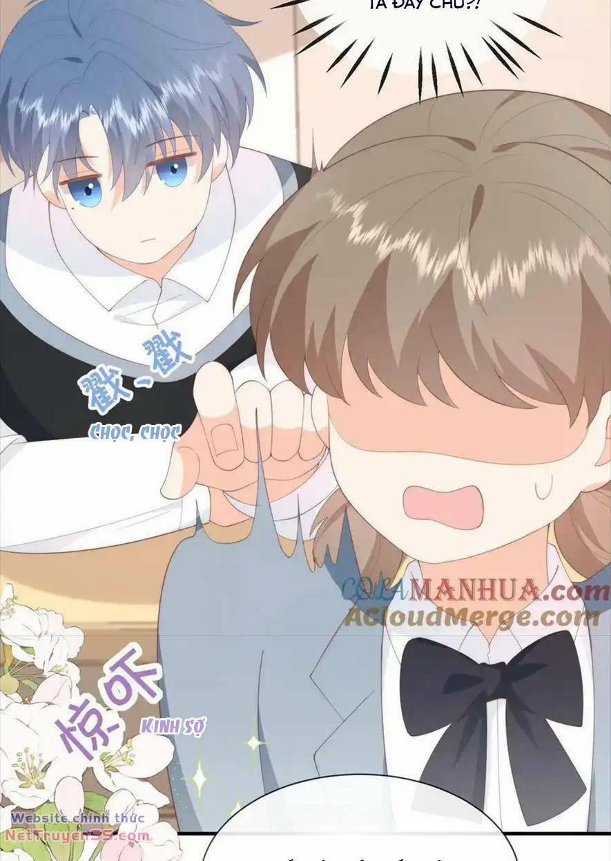 Trọng Sinh Trở Lại Làm Vợ Tổng Tài 90 trang 20