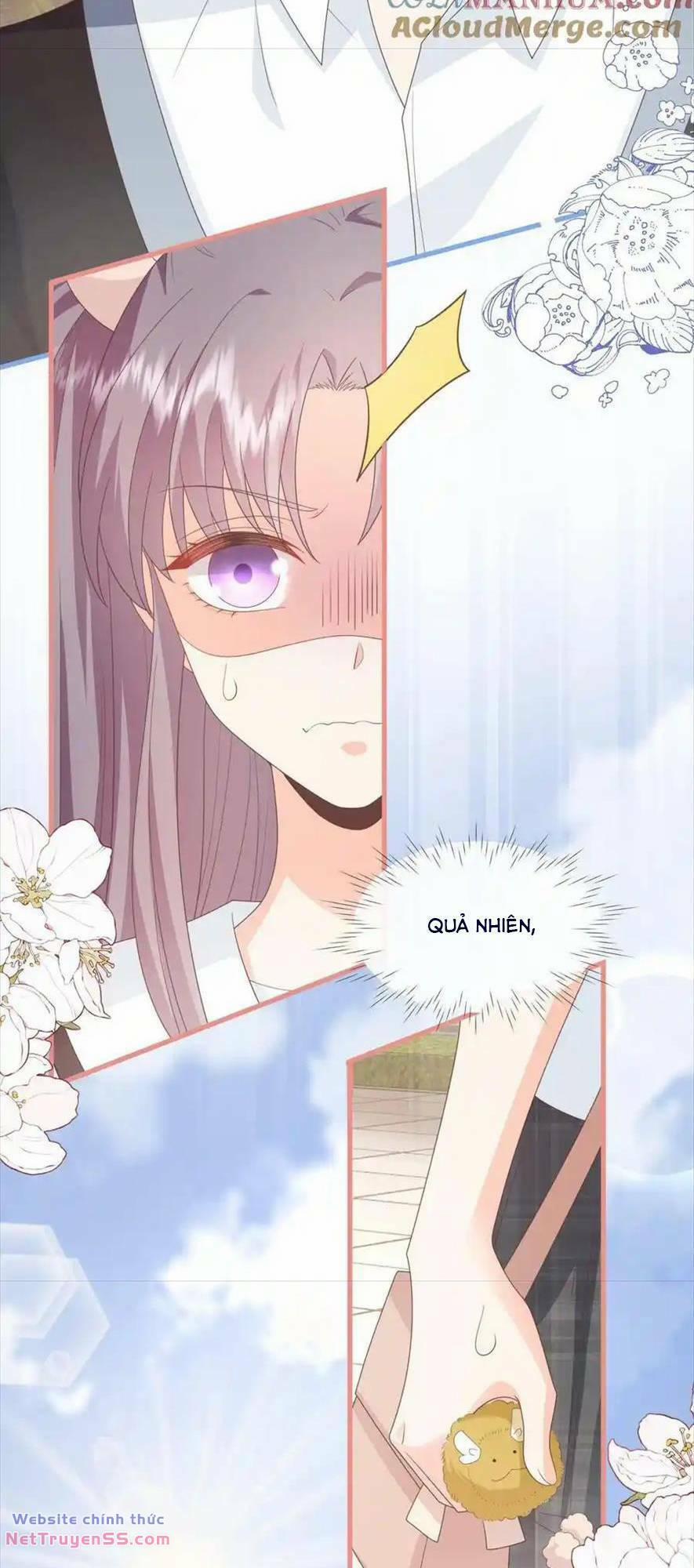 Trọng Sinh Trở Lại Làm Vợ Tổng Tài 93 trang 17