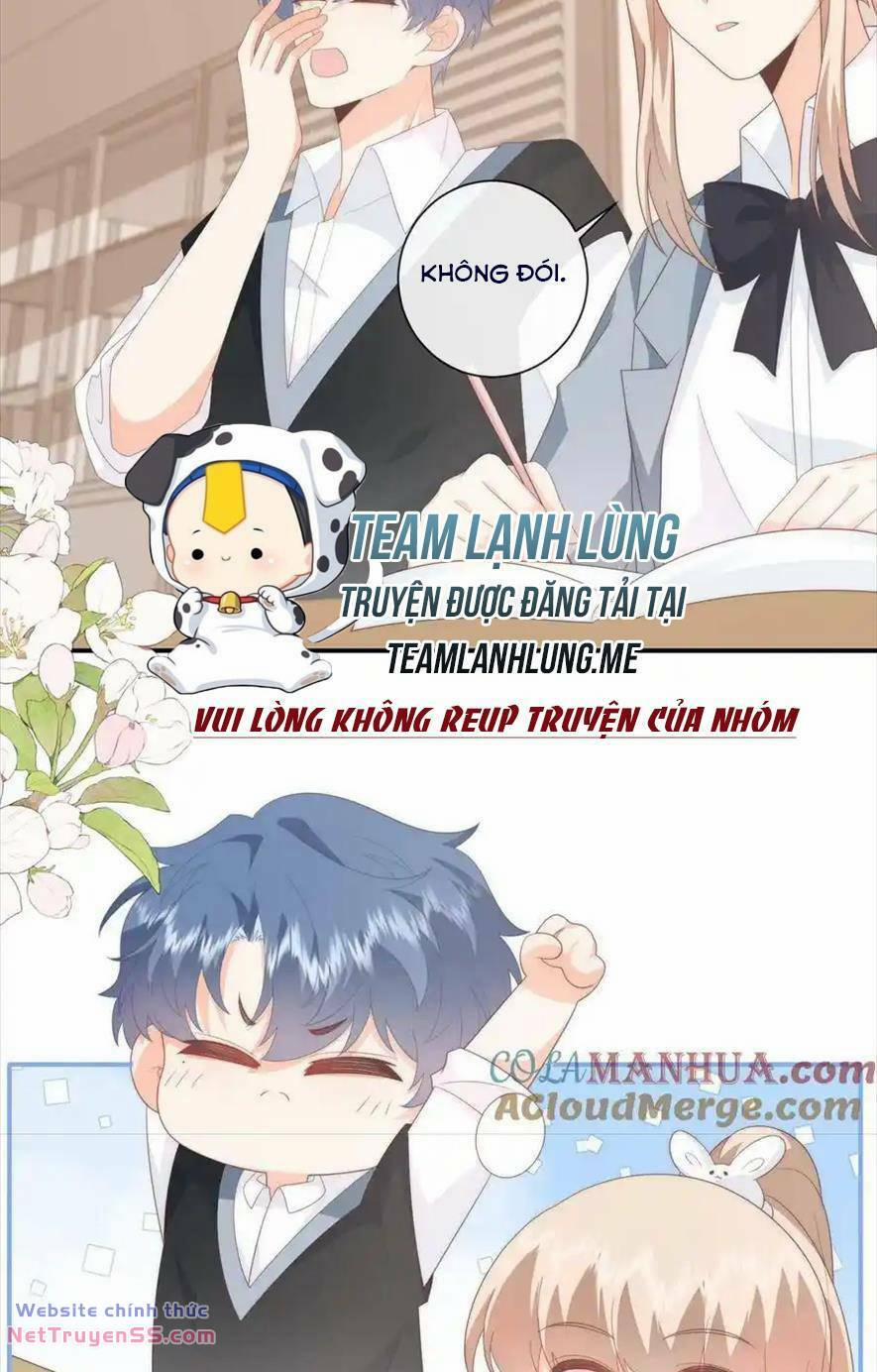 Trọng Sinh Trở Lại Làm Vợ Tổng Tài 96 trang 11