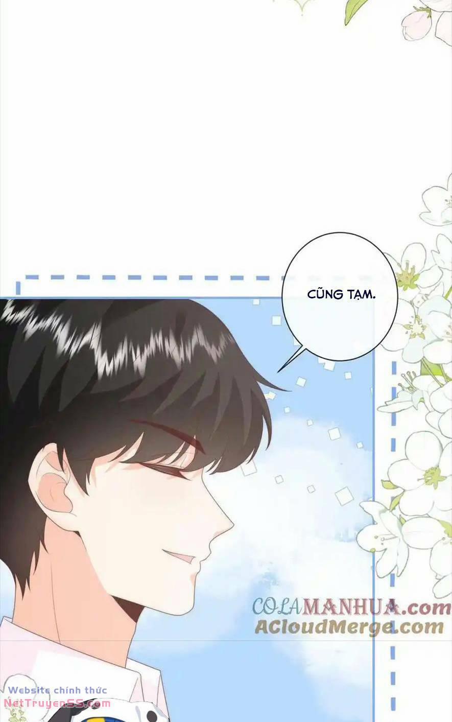 Trọng Sinh Trở Lại Làm Vợ Tổng Tài 96 trang 19