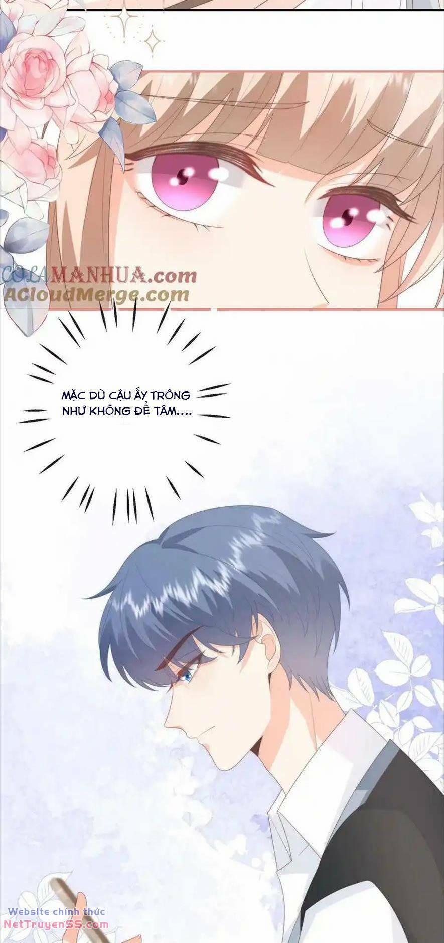 Trọng Sinh Trở Lại Làm Vợ Tổng Tài 96 trang 8