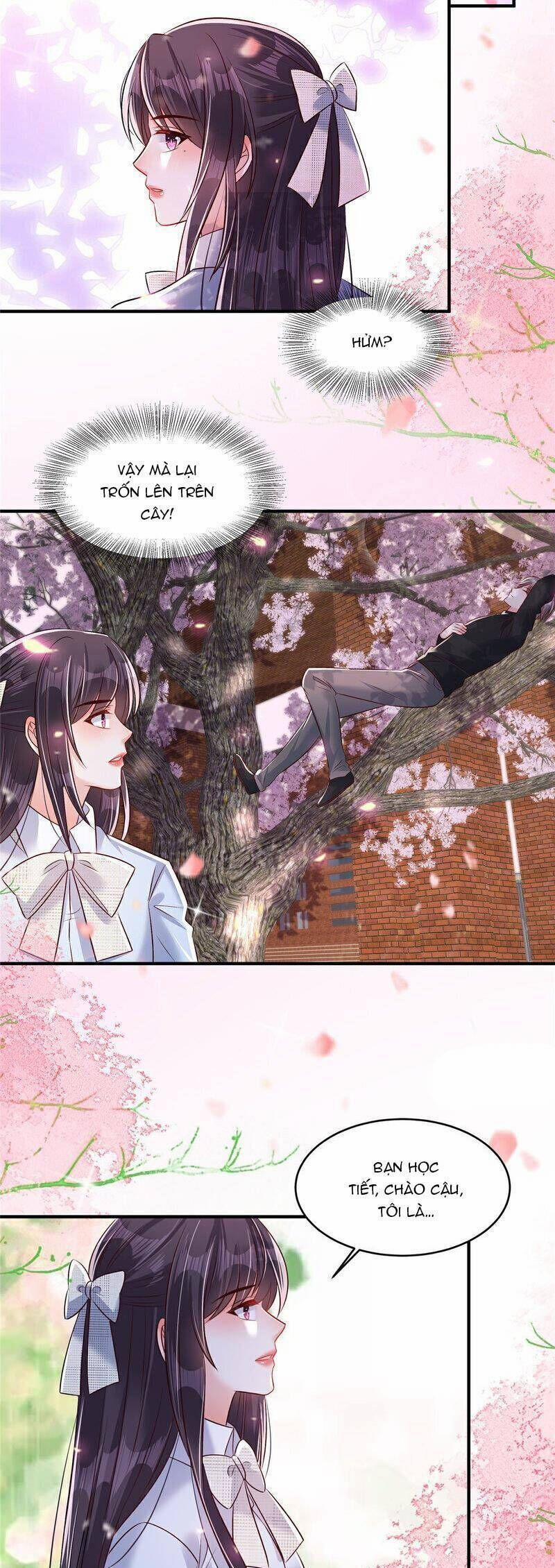 Trọng Sinh Trở Lại: Sủng Nịch Độc Nhất Vô Nhị 344 trang 5