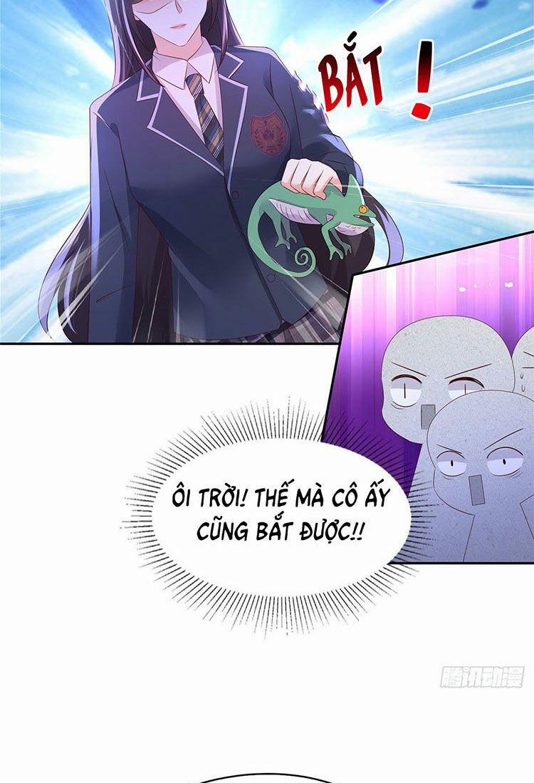 Trọng Sinh Trở Lại: Sủng Nịch Độc Nhất Vô Nhị 38 trang 11