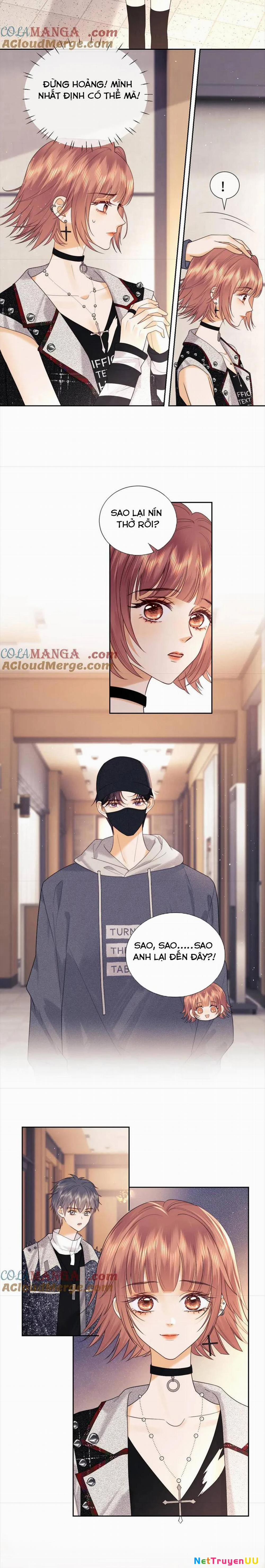 Trọng Sinh Trở Thành Fan” Vợ ” Của Thần Tượng 62 trang 6