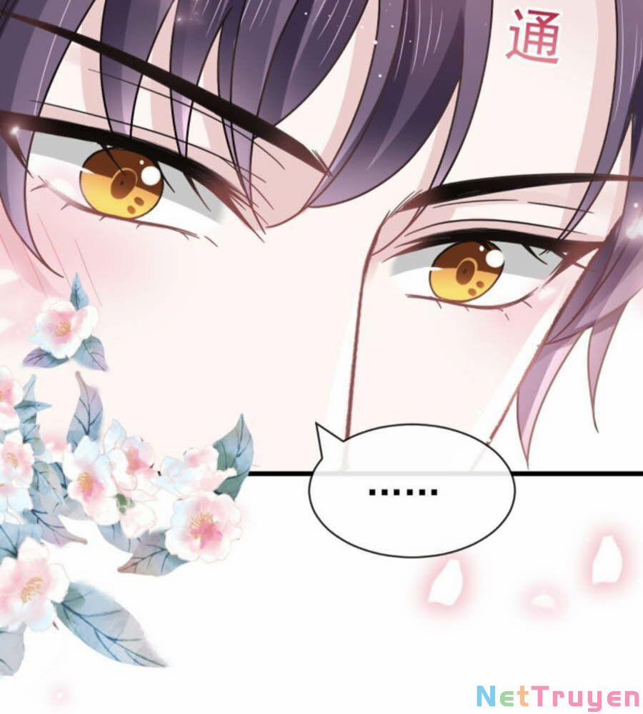 Trọng Sinh Trở Thành Món Tráng Miệng Của Tổng Tài Ma Cà Rồng 18 trang 12