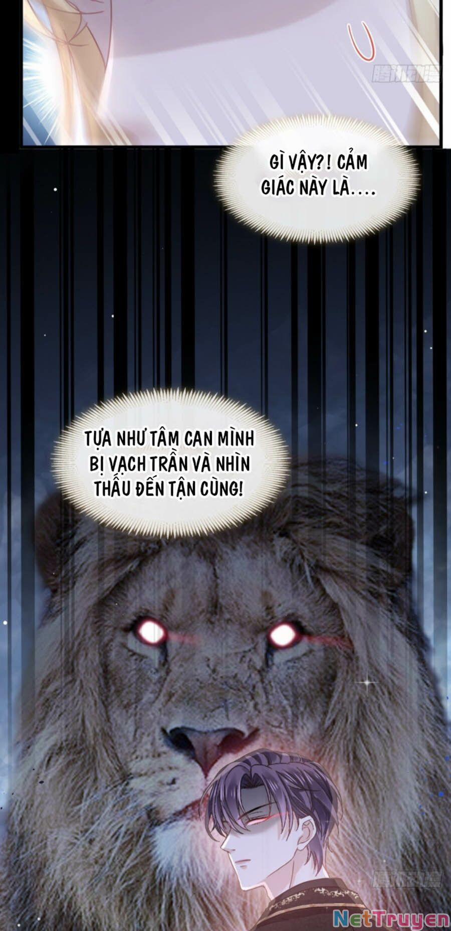 Trọng Sinh Trở Thành Món Tráng Miệng Của Tổng Tài Ma Cà Rồng 18 trang 2