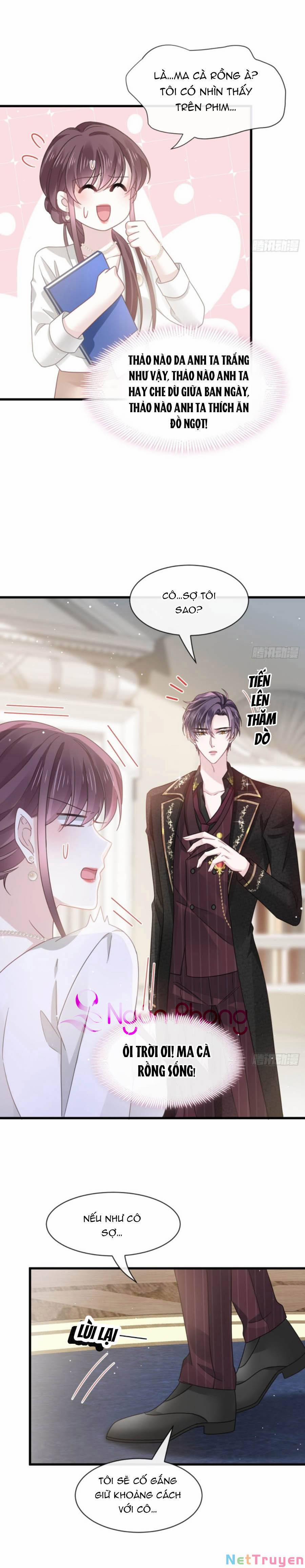 Trọng Sinh Trở Thành Món Tráng Miệng Của Tổng Tài Ma Cà Rồng 24 trang 1