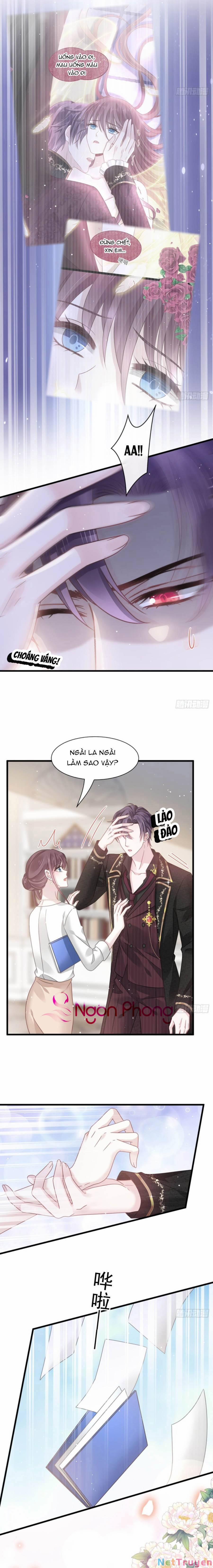 Trọng Sinh Trở Thành Món Tráng Miệng Của Tổng Tài Ma Cà Rồng 24 trang 6