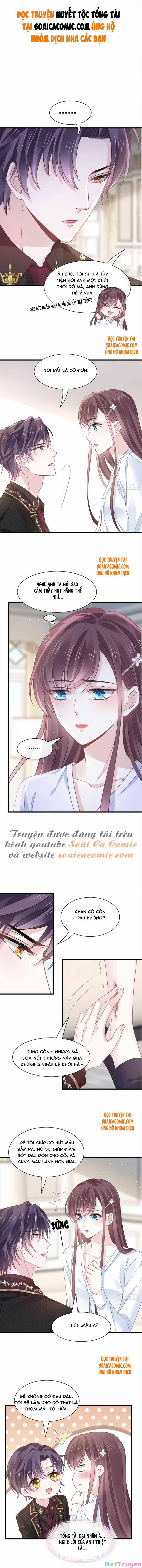 Trọng Sinh Trở Thành Món Tráng Miệng Của Tổng Tài Ma Cà Rồng 29 trang 0