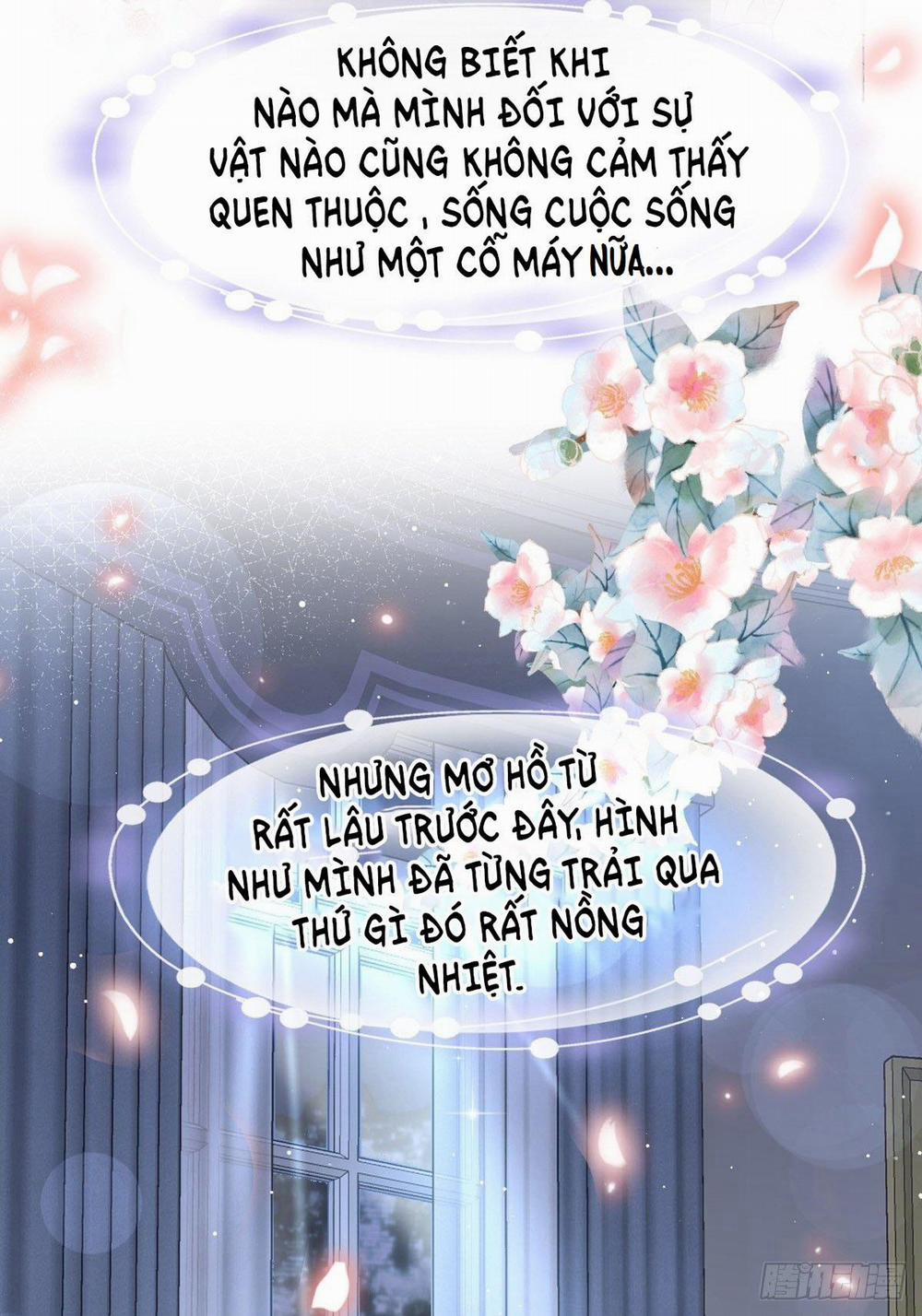 Trọng Sinh Trở Thành Phu Nhân Tổng Tài Huyết Tộc 13 trang 11