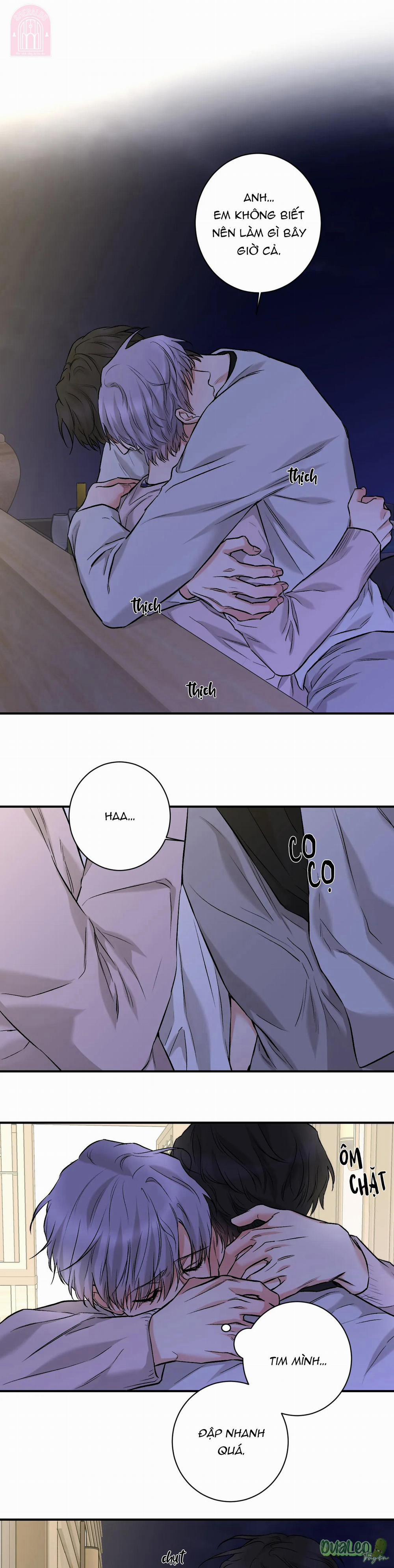 Trong Vòng Bí Mật 100 trang 0