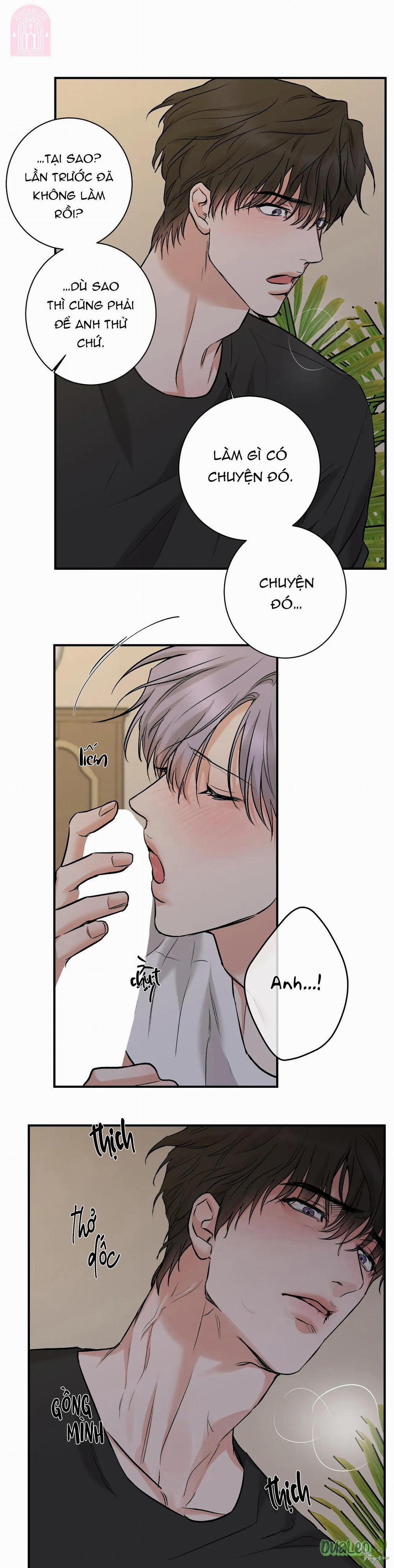 Trong Vòng Bí Mật 100 trang 4