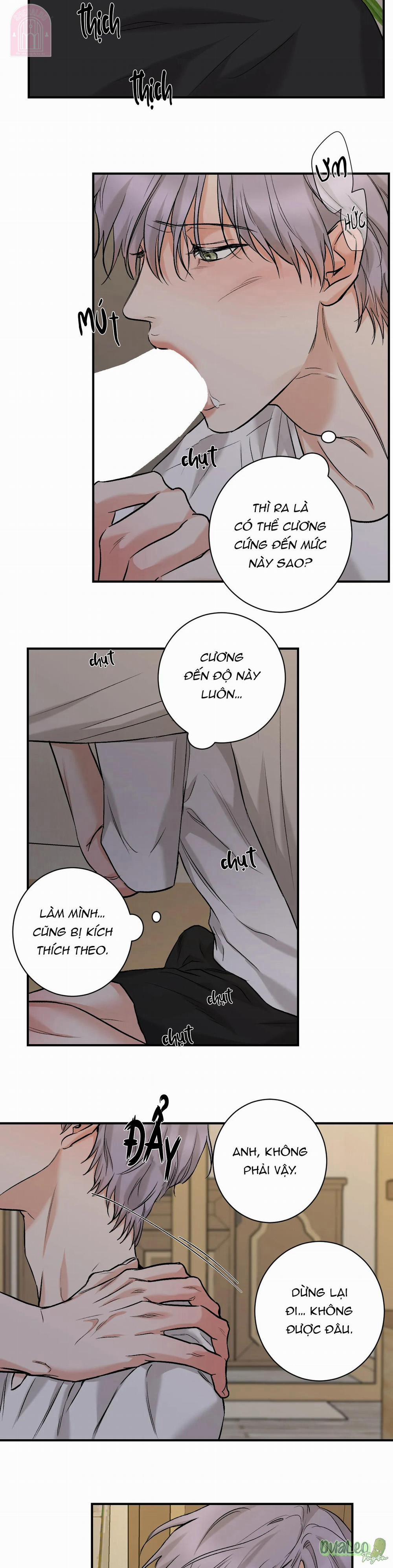 Trong Vòng Bí Mật 100 trang 5