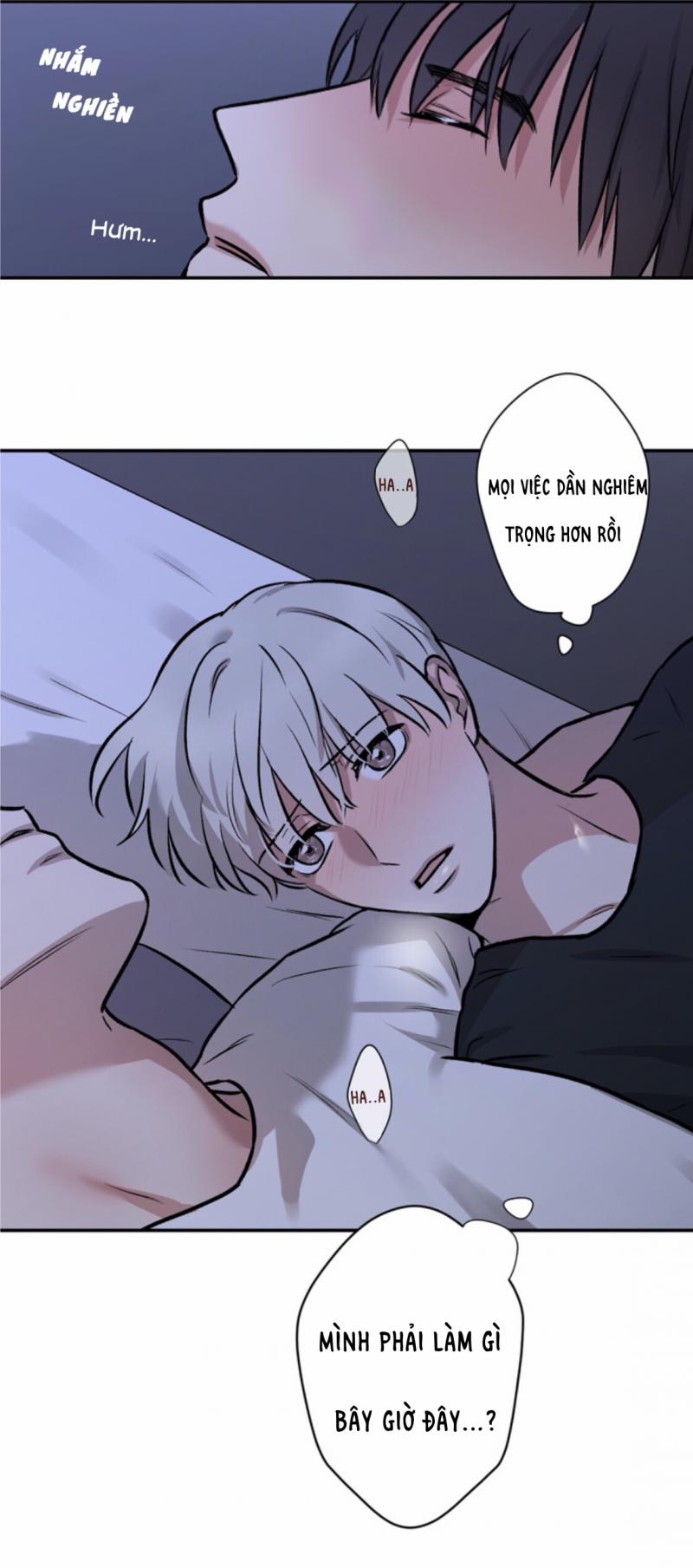 Trong Vòng Bí Mật 3 trang 22