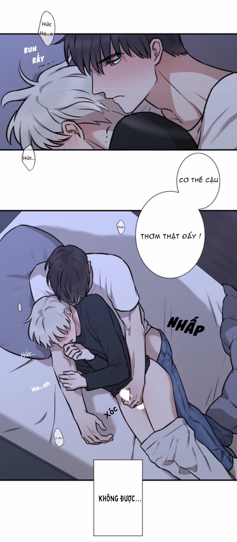 Trong Vòng Bí Mật 3 trang 7