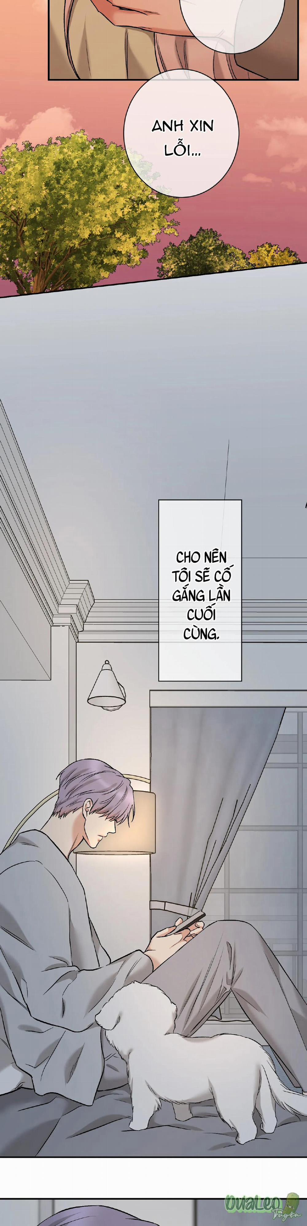 Trong Vòng Bí Mật 85 trang 17