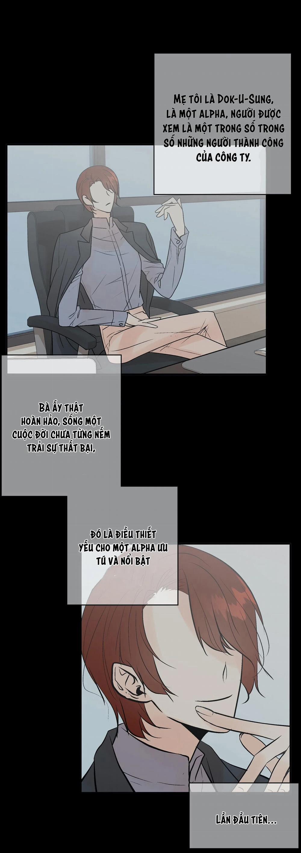 Trú Ẩn (Haven) 10 trang 4