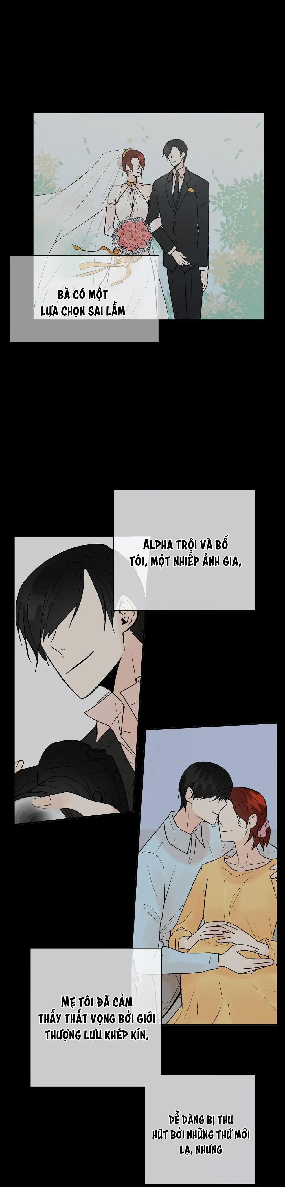 Trú Ẩn (Haven) 10 trang 5