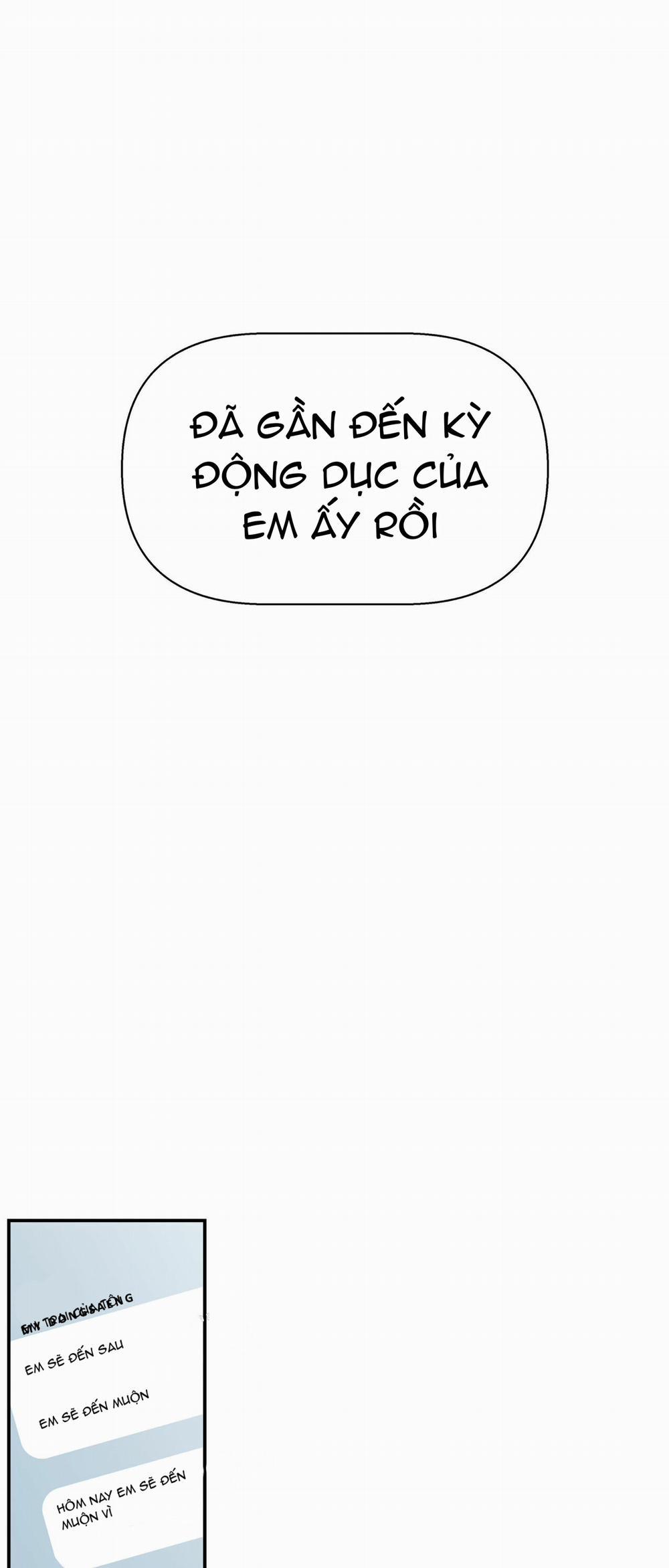 Trú Ẩn (Haven) 13 trang 18