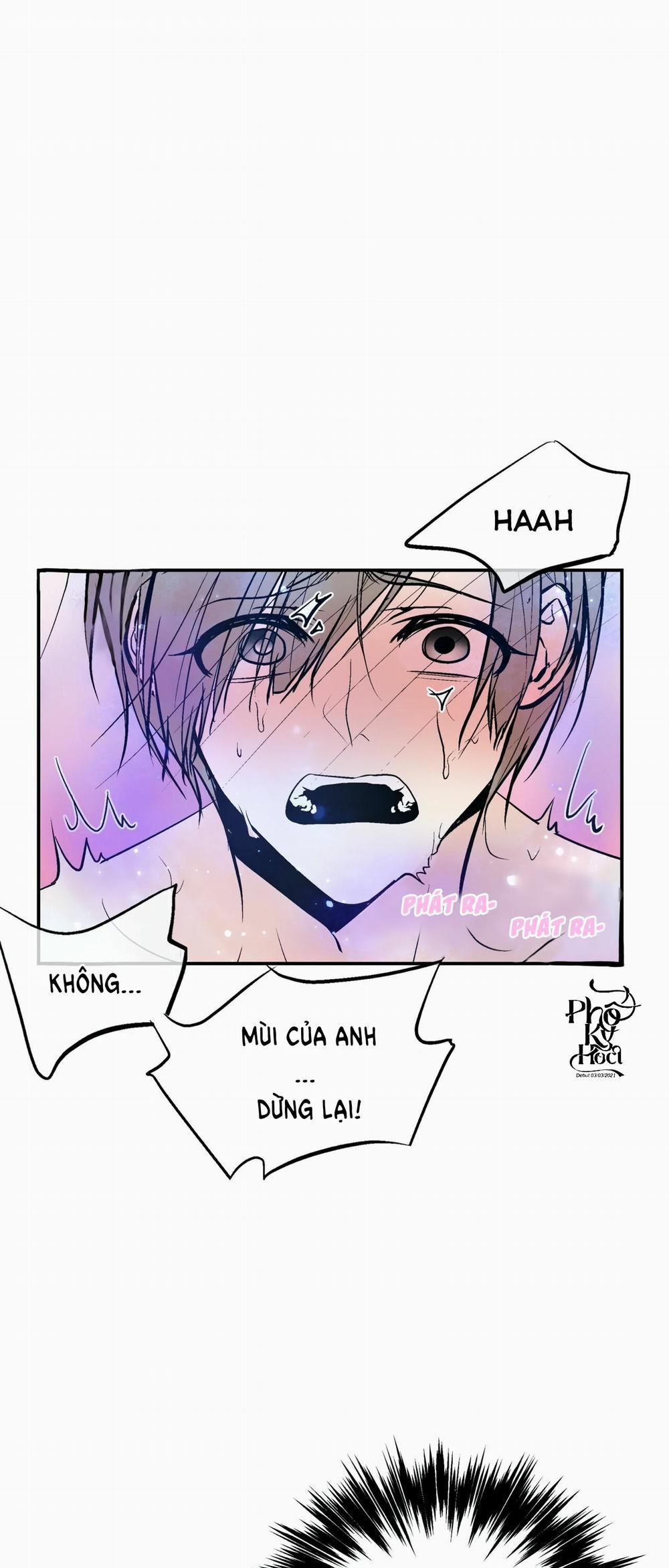 Trú Ẩn (Haven) 14 trang 7