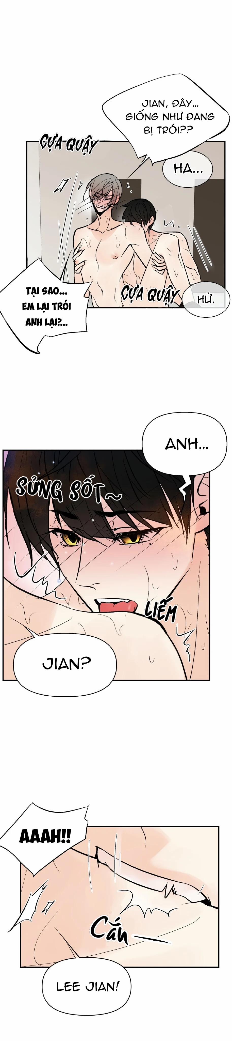 Trú Ẩn (Haven) 16 trang 10