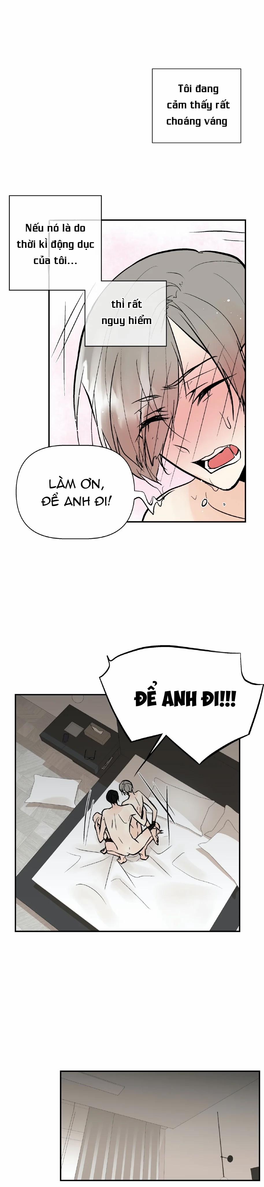 Trú Ẩn (Haven) 16 trang 12