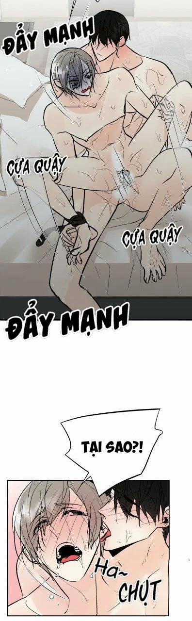 Trú Ẩn (Haven) 16 trang 18