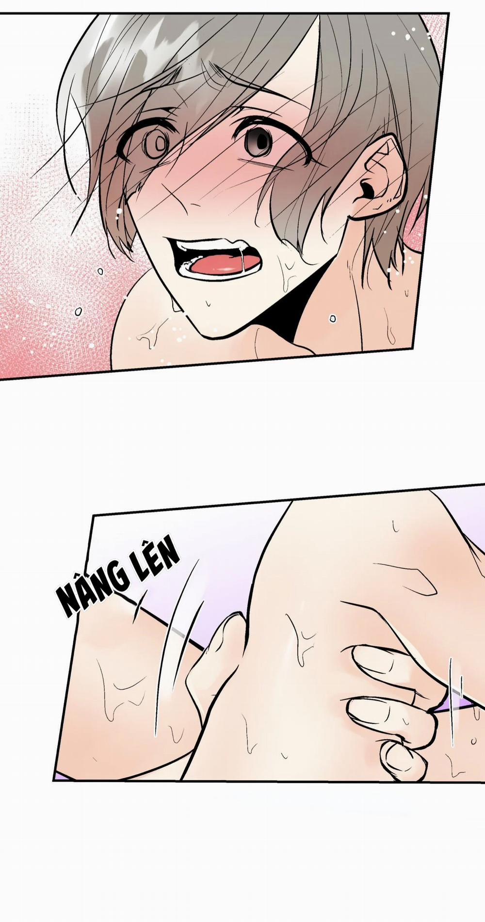 Trú Ẩn (Haven) 16 trang 2