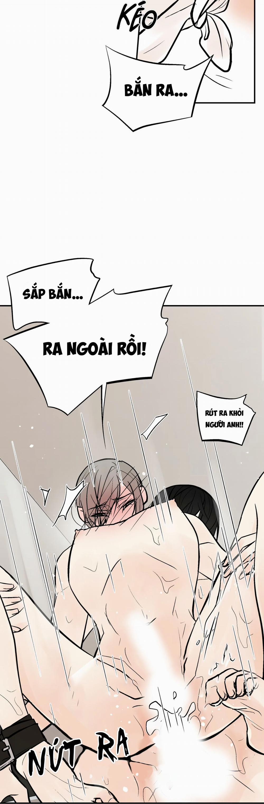 Trú Ẩn (Haven) 16 trang 22