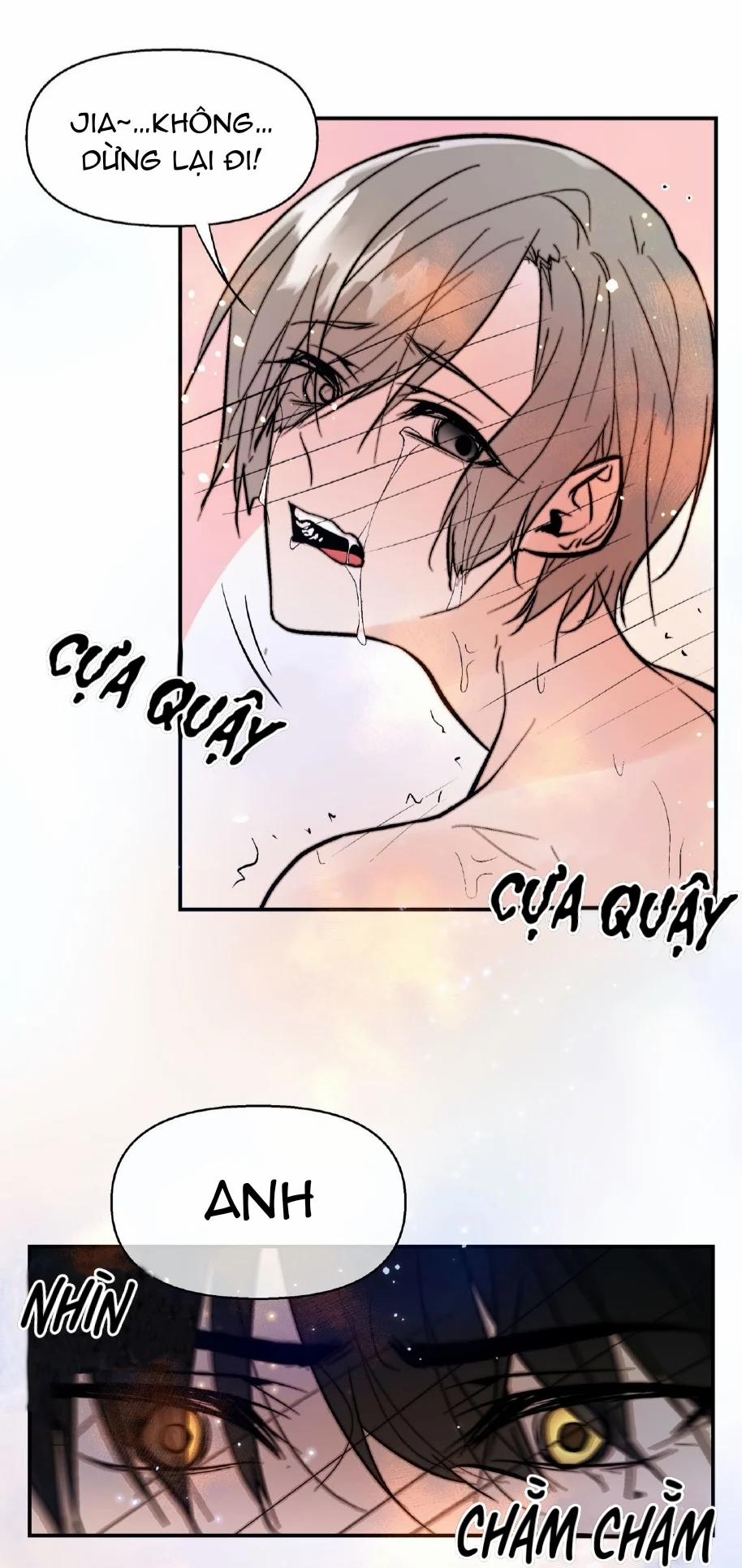 Trú Ẩn (Haven) 16 trang 6