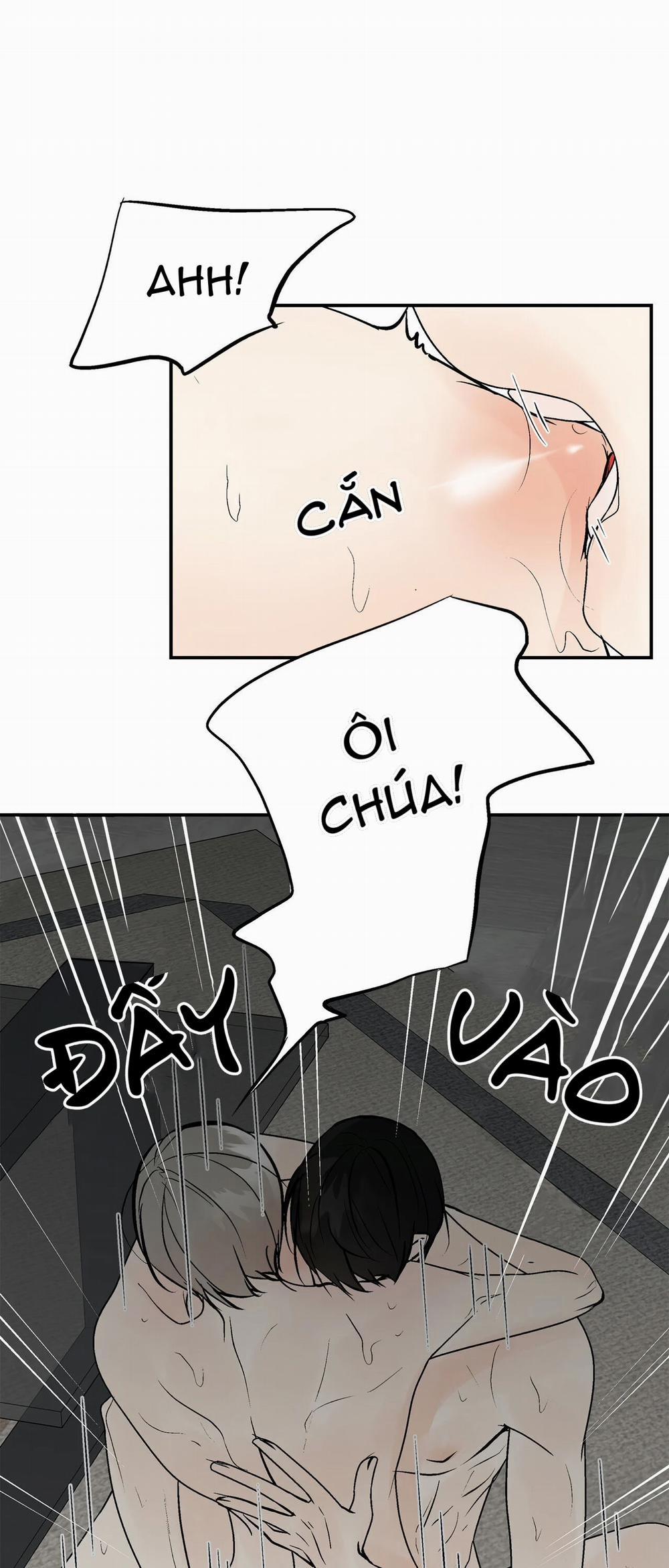 Trú Ẩn (Haven) 8 trang 11