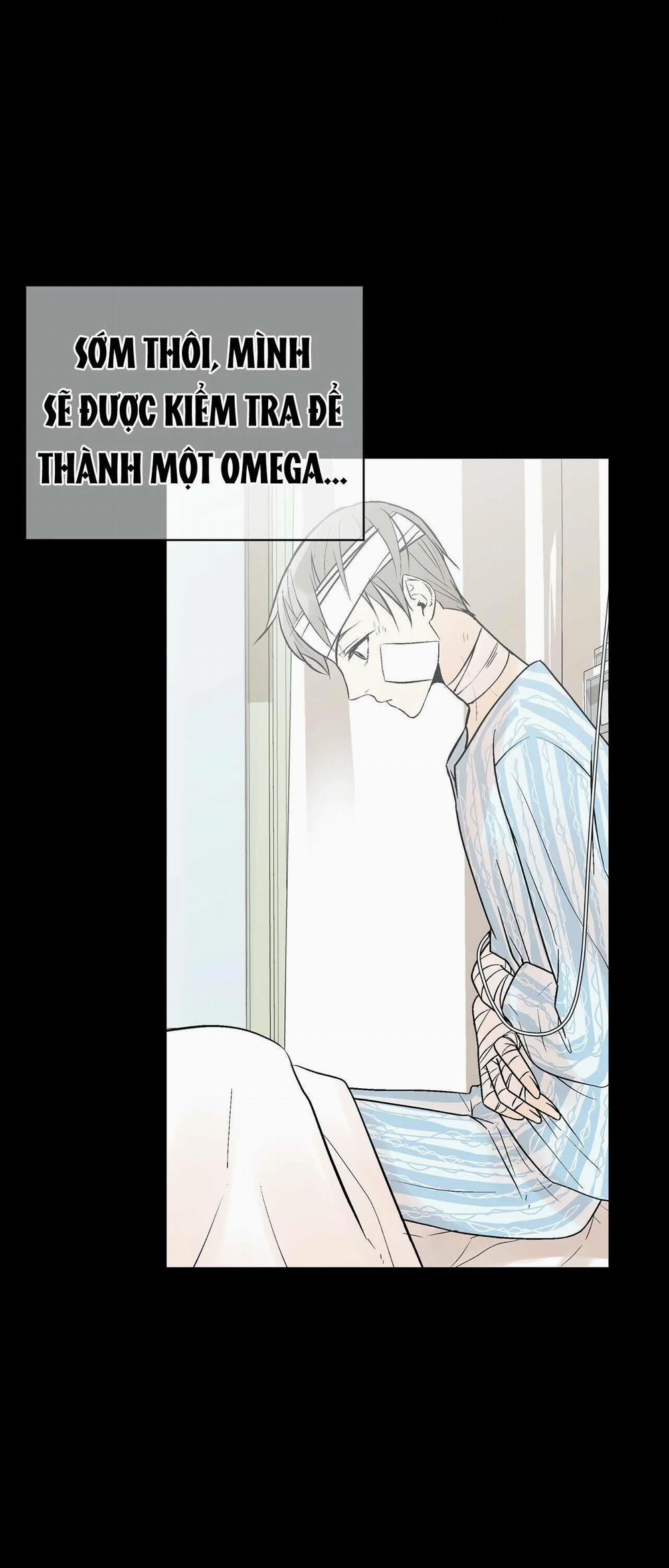 Trú Ẩn (Haven) 9.1 trang 4