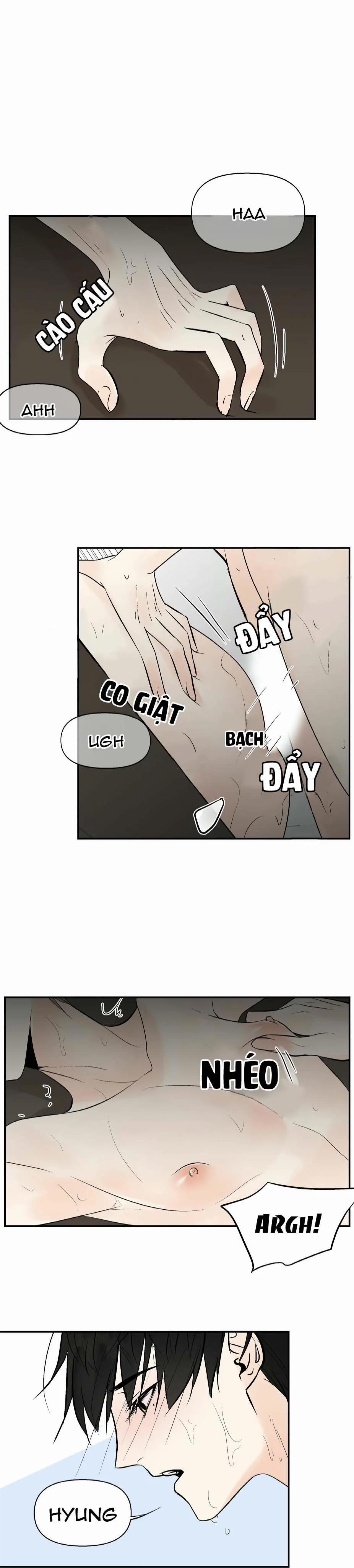 Trú Ẩn (Haven) 9.1 trang 9