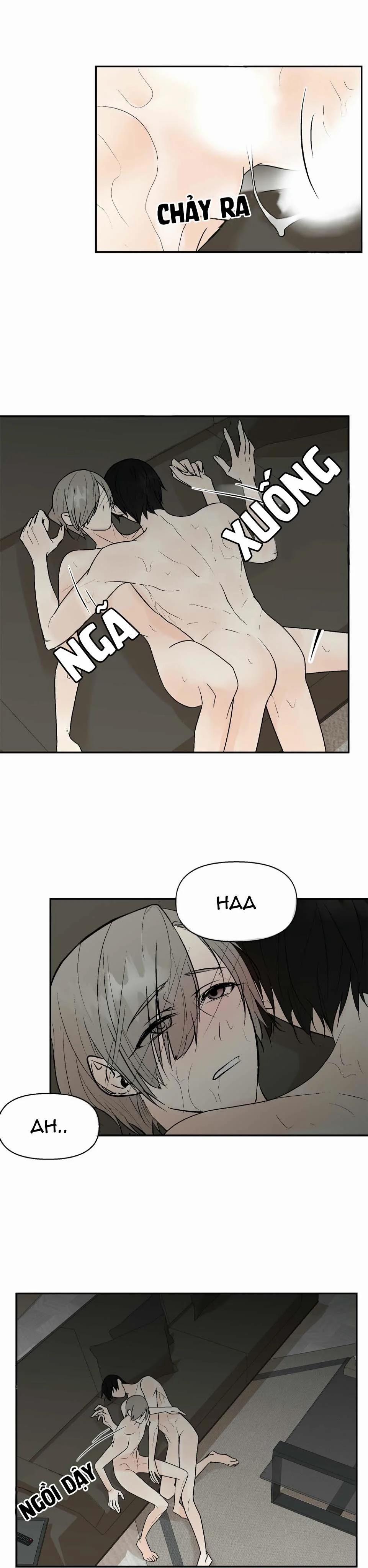 Trú Ẩn (Haven) 9.2 trang 4