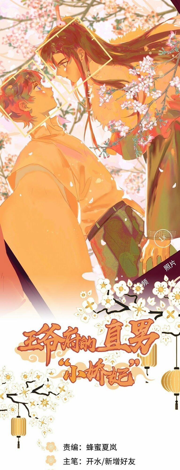 Trực Nam Tiểu Kiều Phi Của Vương Phủ 28 trang 0