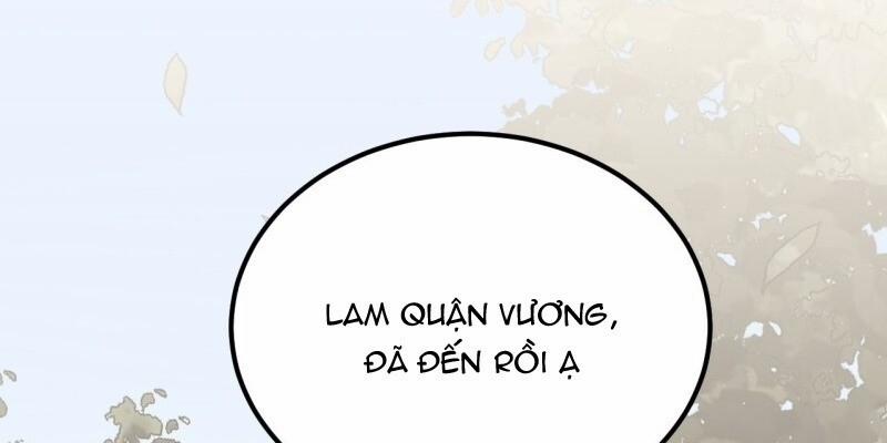 Trực Nam Tiểu Kiều Phi Của Vương Phủ 33 trang 11