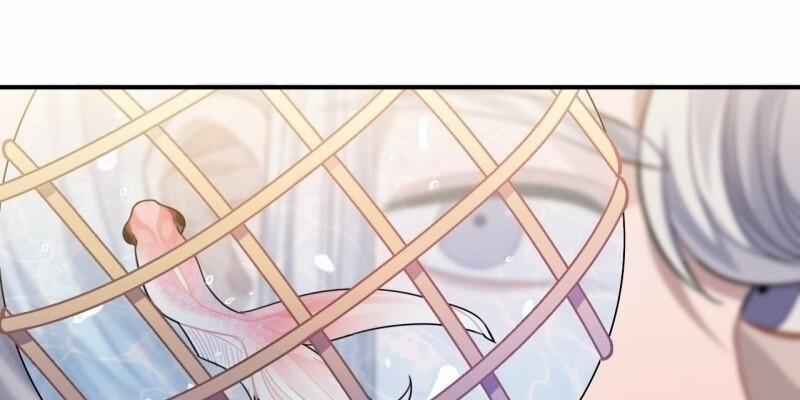 Trực Nam Tiểu Kiều Phi Của Vương Phủ 33 trang 17