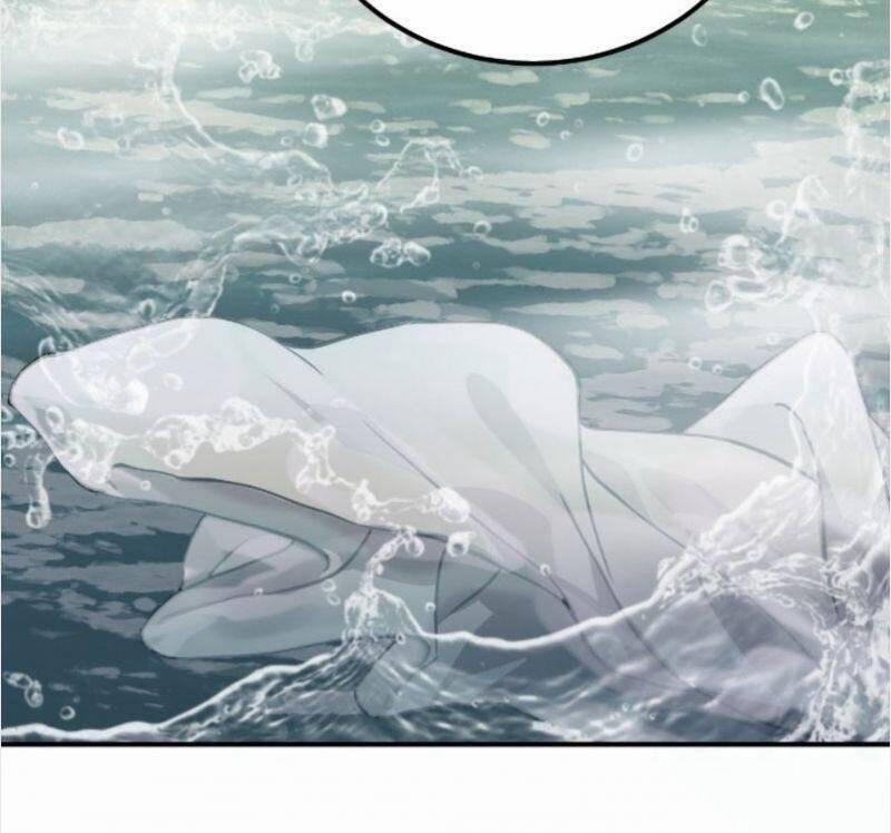 Trực Nam Tiểu Kiều Phi Của Vương Phủ 43 trang 5