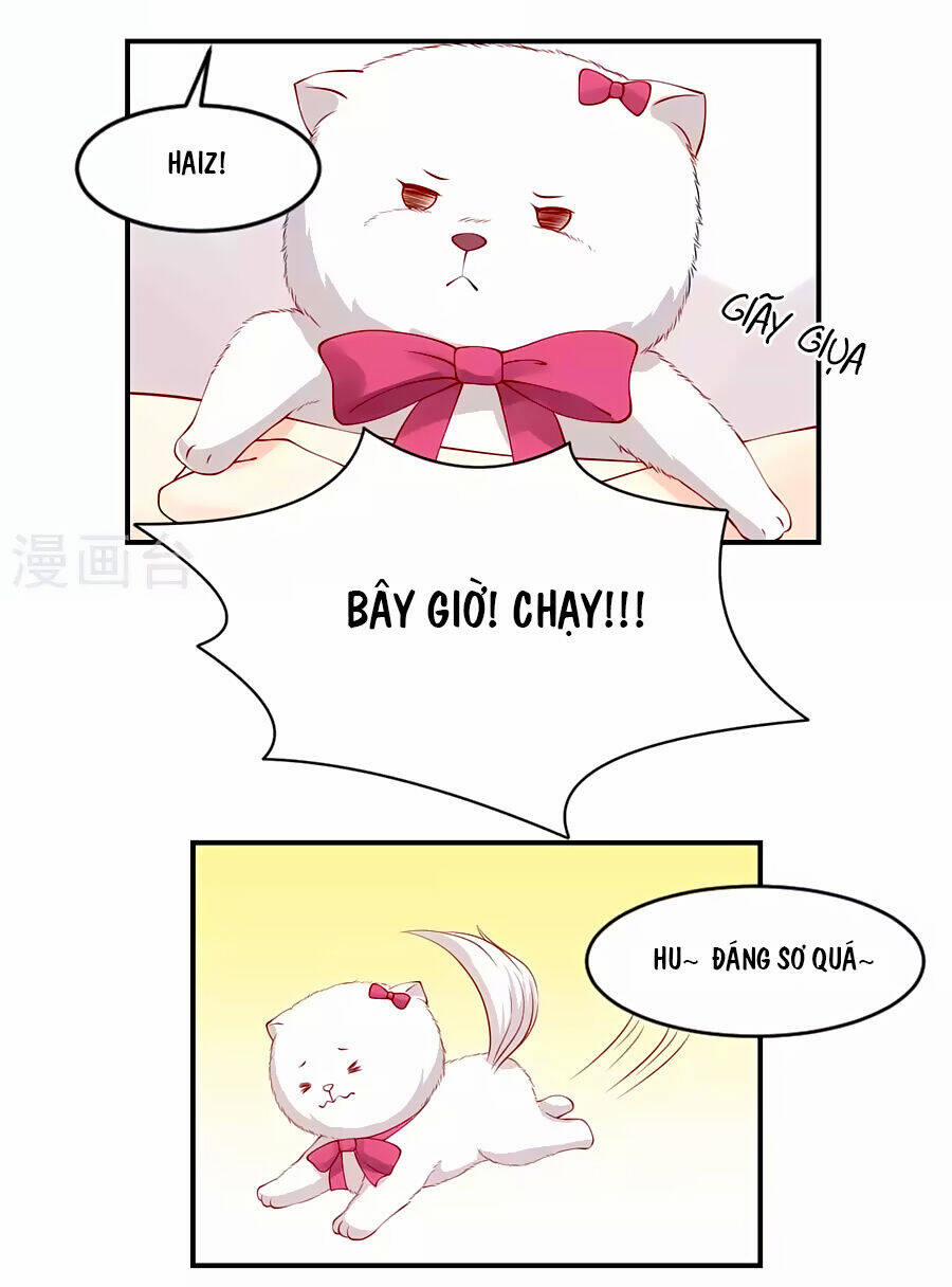 Trung Khuyển Và Tình Nhân 4 trang 8