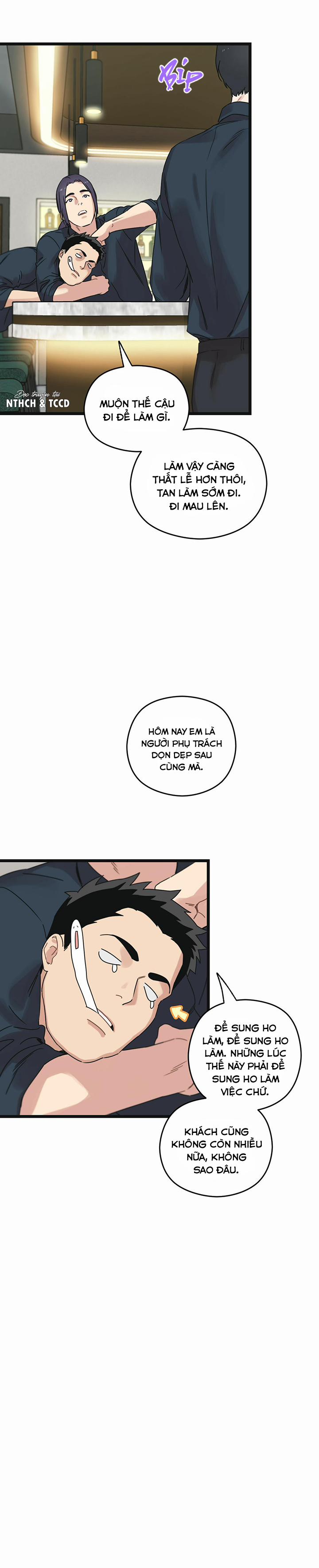 Trùng Phùng 11 trang 15