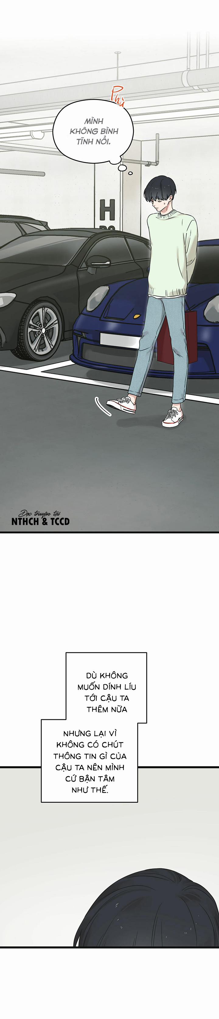 Trùng Phùng 11 trang 17